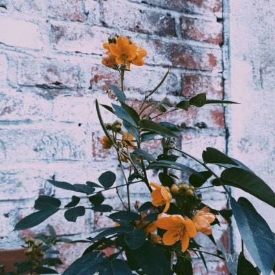 凯时ag旗舰厅-登录入口